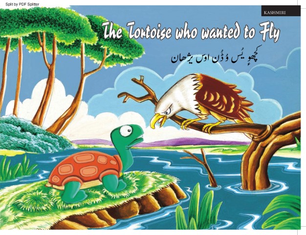 The Tortoise who Wanted to Fly